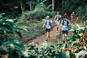 BIB: 
                            <button type="button" onclick="openModal(25851431)" class="btn btn-primary btn-sm float-right btn-popup" data-toggle="modal" data-target=".modal-high-quality">
                        <i class="fas fa-shopping-cart"></i> Add to Cart
                    </button>
                                            <button type="button" onclick="isThisMe(25851431, true)" class="btn btn-success btn-sm float-right btn-popup btn-isme hidden" data-toggle="tooltip" data-placement="bottom" title="นี่คือรูปของคุณใช่ไหม คลิกที่นี่เพื่อเอาเข้าอัลบั้ม">
                        <i class="fas fa-plus"></i> Add to album
                    </button>
                    <button type="button" onclick="isThisMe(25851431, false)" class="btn btn-warning btn-sm float-right btn-popup btn-isnotme hidden">
                        <i class="fas fa-ban"></i> Remove from album
                    </button>